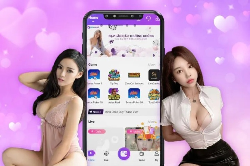 Giới thiệu ứng dụng Chichlive